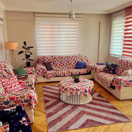 A Spacious Flat In Old Town Area